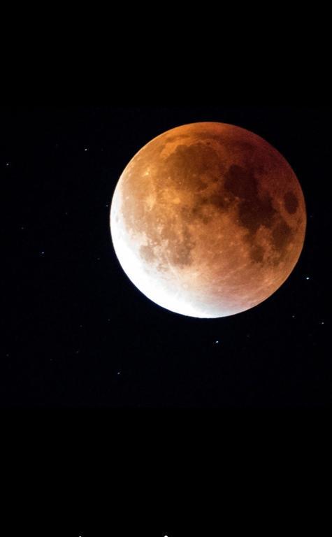 קוסטינסטי Luna מראה חיצוני תמונה